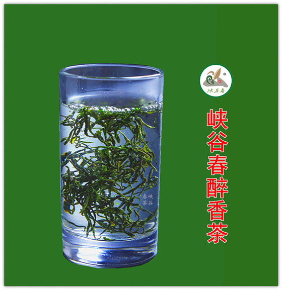 茶;只要味正甘醇,久而弥香就是好茶
